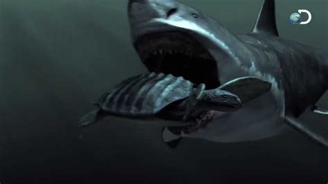 megalodon discovery channel documentary.